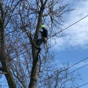 Meet your Posher, Wiley